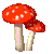 spinning red mushrooms